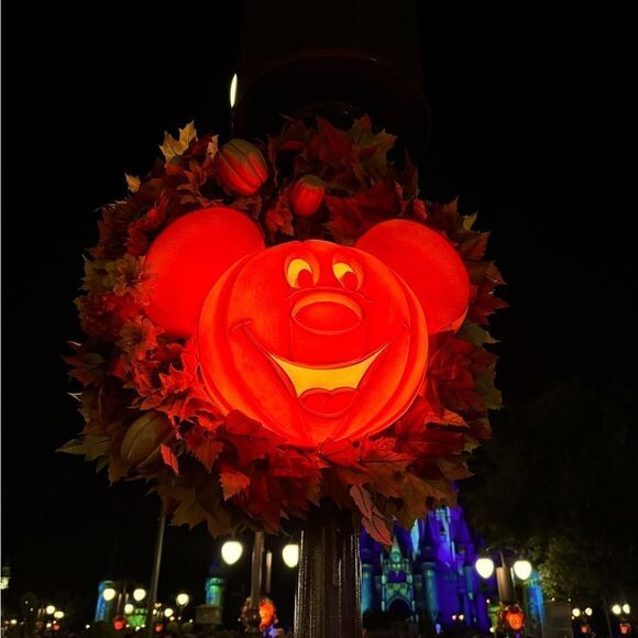 Happy time  - Picture 4 of 14